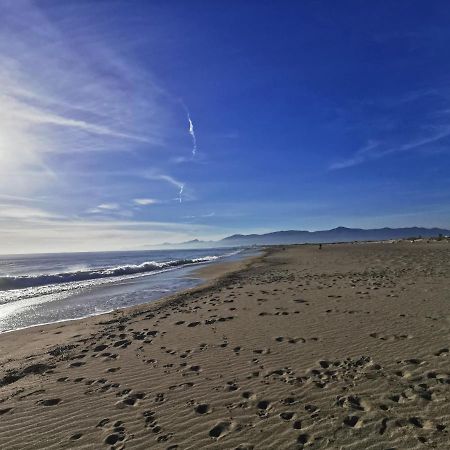 Appartement Vue Mer 212 Canet-en-Roussillon Zewnętrze zdjęcie