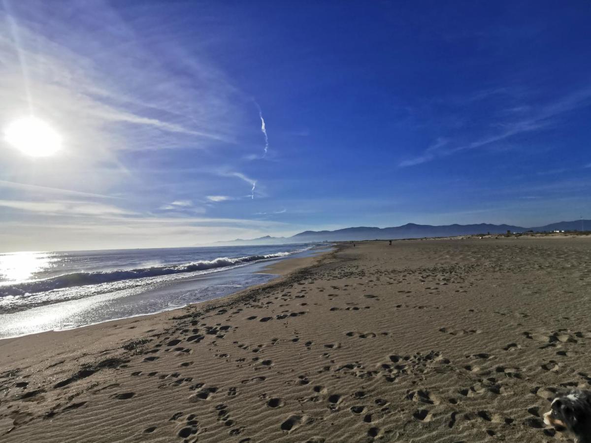 Appartement Vue Mer 212 Canet-en-Roussillon Zewnętrze zdjęcie